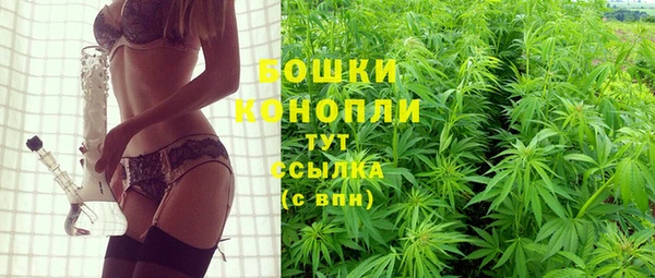 крисы Богданович