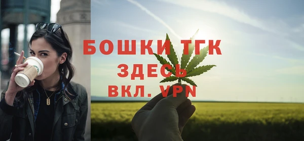 гидра Бугульма