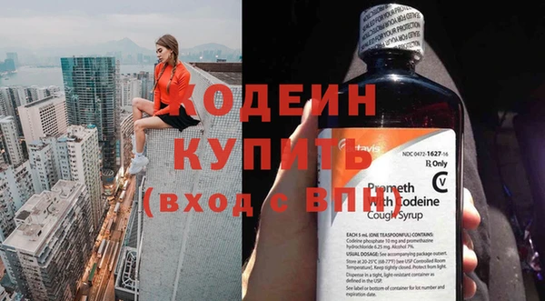 твердый Бородино