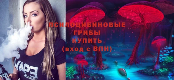 соль ск Богородицк