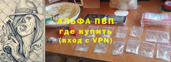 твердый Бородино